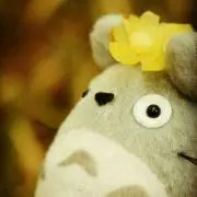 粒