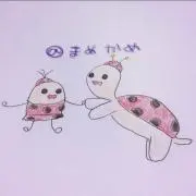 @まめかめの画像