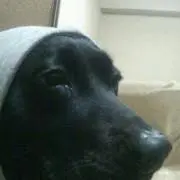 HOKIの画像