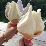あいすくりーむの画像