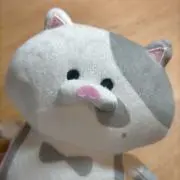 みかんの画像
