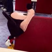 Megの画像
