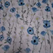 chiiの画像