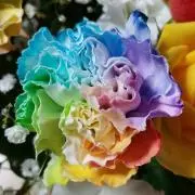 memoの画像