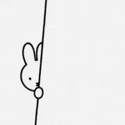 USAGI