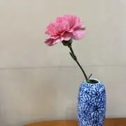 ちーたん。の画像