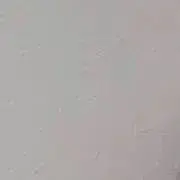ぺんの画像