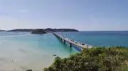 ✾はなほし✾発送は基本土日月予定の画像