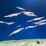 みーの画像