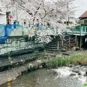 TOMOYAの画像