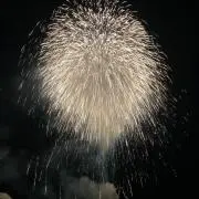 しんたろう