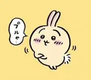 ナガノうさぎ