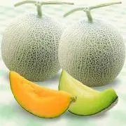 Meronchanの画像