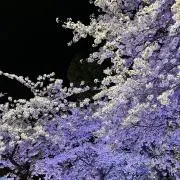 さおり