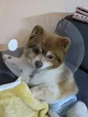 ブンブン（プロフ是非ご覧ください！！）