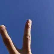 Haruの画像