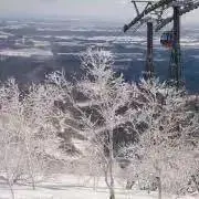 まぁるの画像