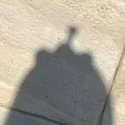 さなの画像