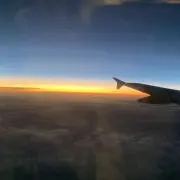 きっどの画像