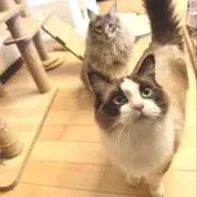 ★リーシャ★