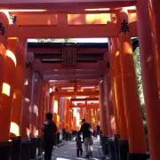 ✳︎ハレハレ✳︎