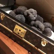 mayの画像