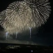 Rの画像