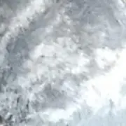 ここなっつの画像
