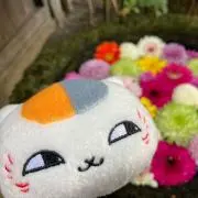 みーお