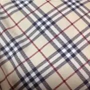 アップルの画像
