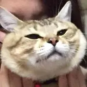 伯耆