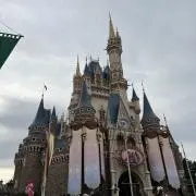Ｍコメ必須