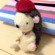 maiの画像