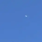 タピまる
