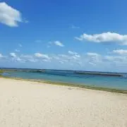 ららの画像