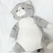 chani 断捨離中の画像