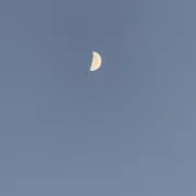 ツキノヒカリ。の画像