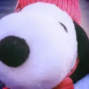 misaの画像