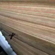 すーの画像