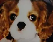 のえぞうの画像