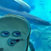 あーちの画像