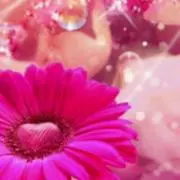 りんの画像