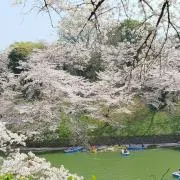 ★ELLY☆★プロフ必読