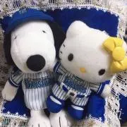 ※まとめ買い値引✮BLUE STAR