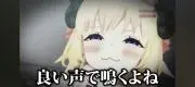 ホロ推しの画像