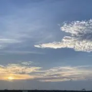ゆの画像