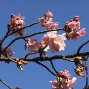 りょうママ