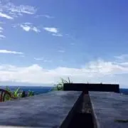 あおの画像