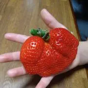 シュリンプ❤️フォロー割50円off❤️の画像