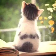 のんこ☺︎在庫確認の為コメント下さいの画像
